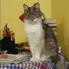 Отзыв от Татьяна Ефимова